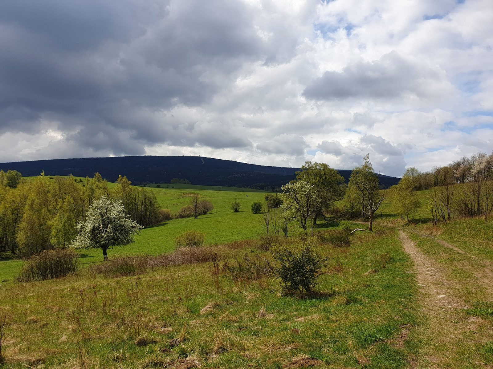 Wielka Sowa (1015 m) — Góry Sowie